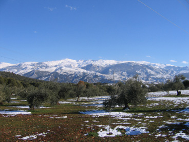 Sierra_nevada2